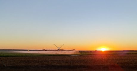 53407621672-bd2e225a34-c