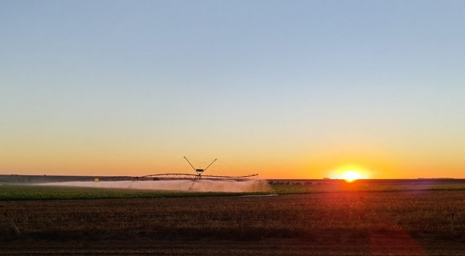 53407621672-bd2e225a34-c